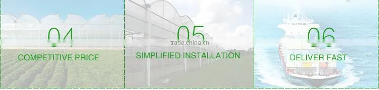 Commercial Greenhouse for sale Single span greenhouse