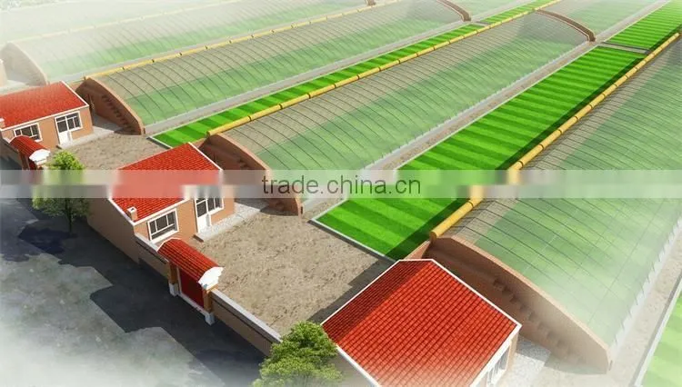 New Type Of Tunnel Greenhouse For Vegetables
