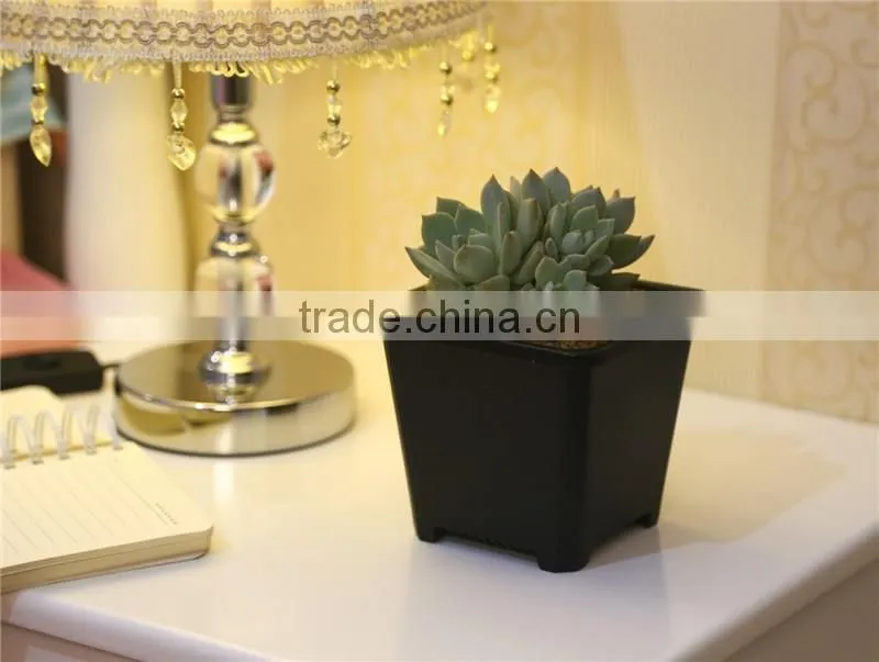 European Sqaure Pot