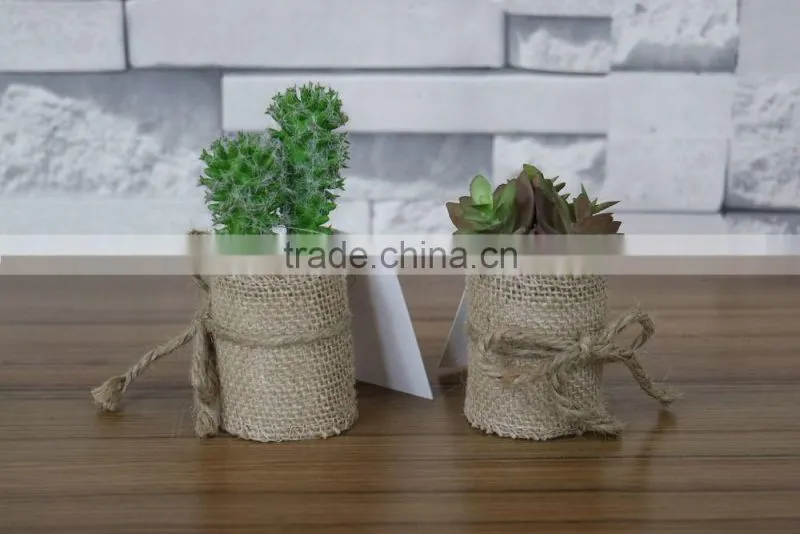 plastic mini succulent plants arrangement in pot