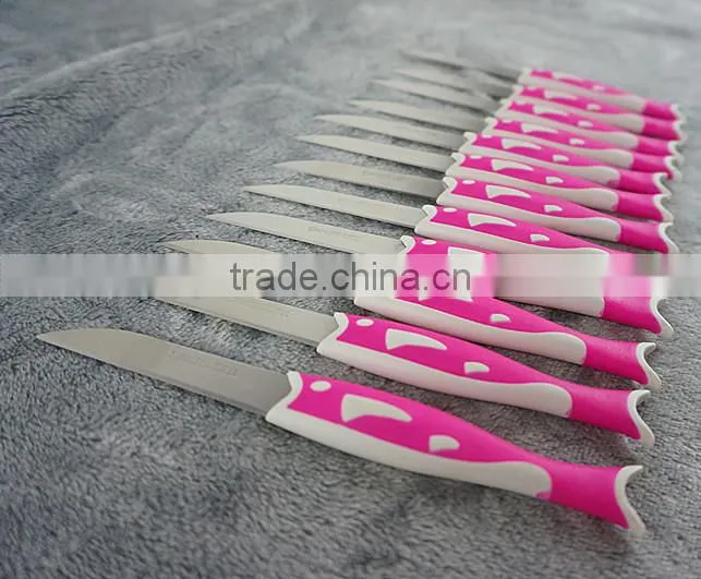 51010 12PCS STAINLESS STEEL fruit Knife Set