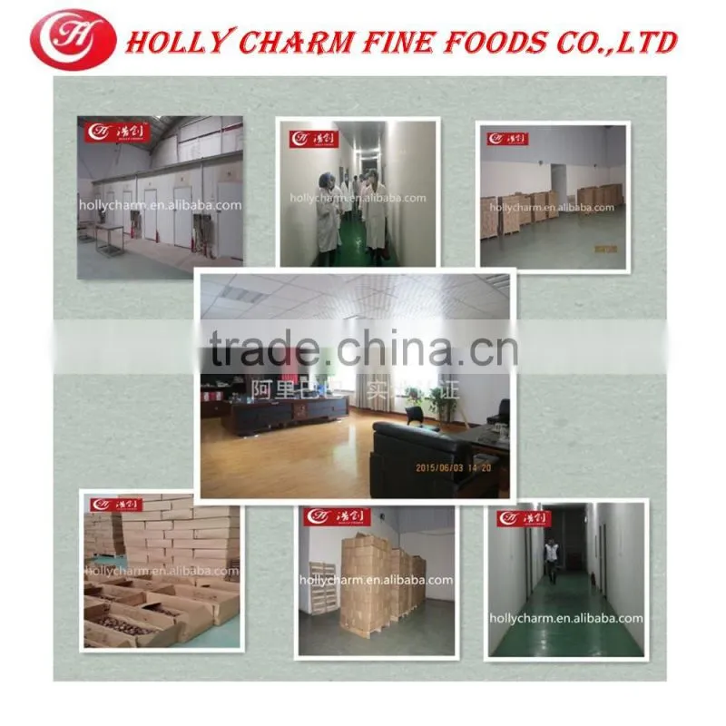 Manufacturer supply best price high quality solo black garlic