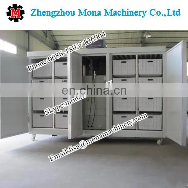 Prior market profession automatic bean sprout growing machine