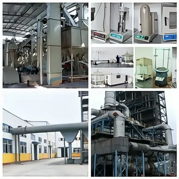 Shijiazhuang Servemine Imp&Exp Co.,Ltd company overview - view 1