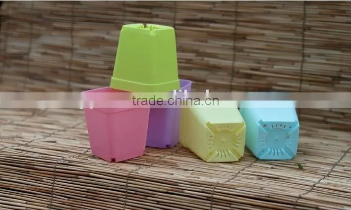 mini PP plastic flower pot colorful