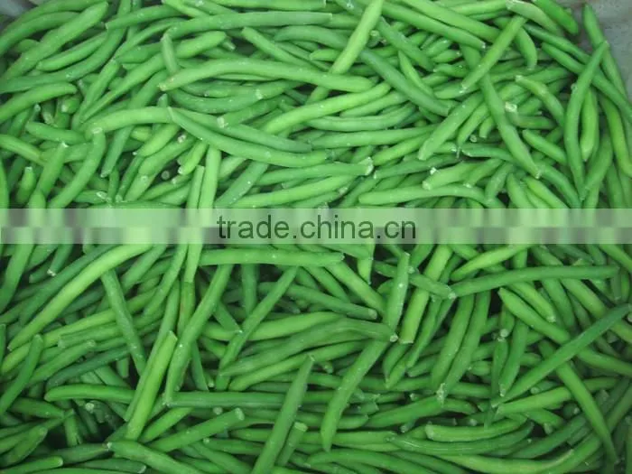 new crop frozen cut green beans
