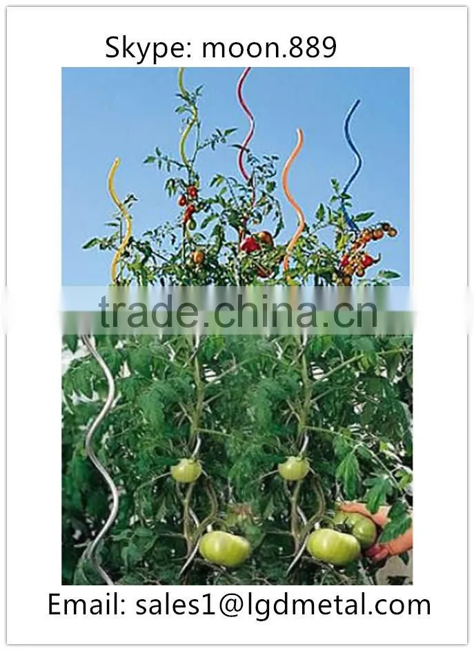 climbing plant support for tomato paste