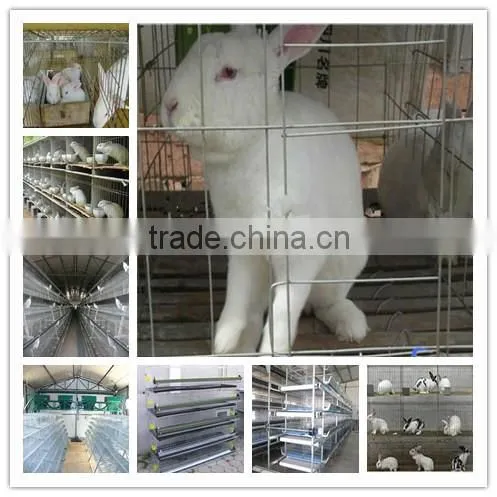 2014 newly designed different sizes durable commercial rabbit cages