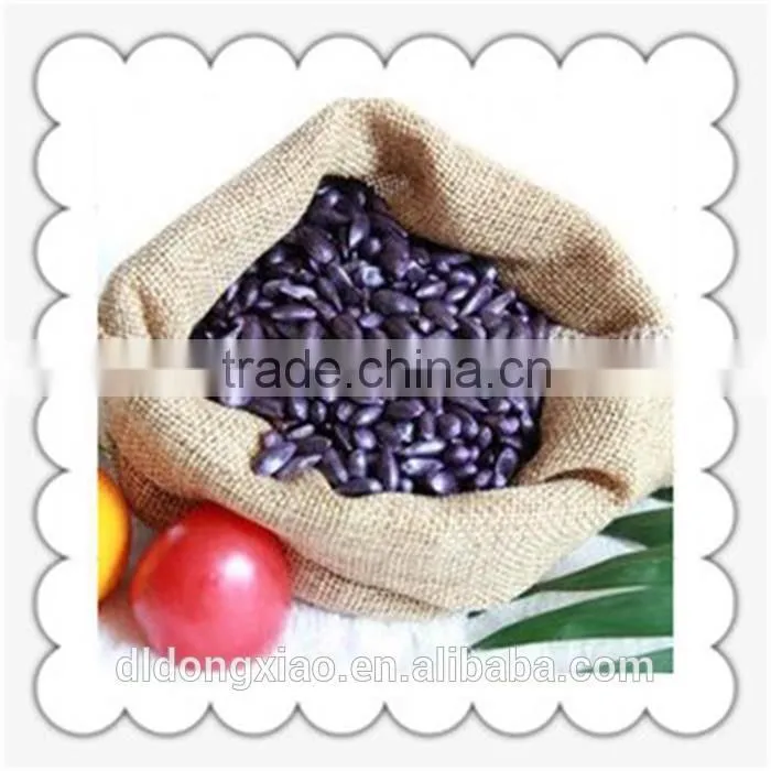 Sunflower Seeds for Birds small seed high oil content