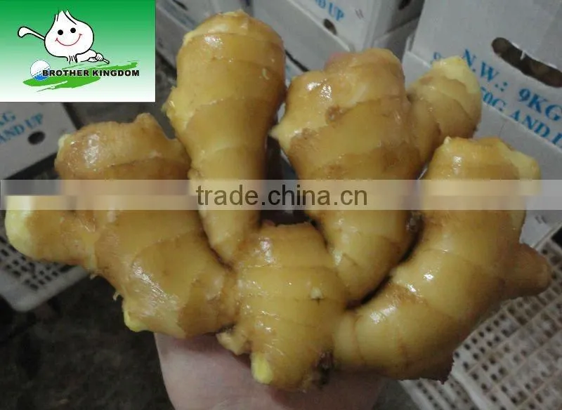 Fresh Ginger