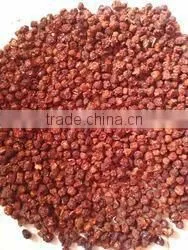 Gloriosa Superba Seed