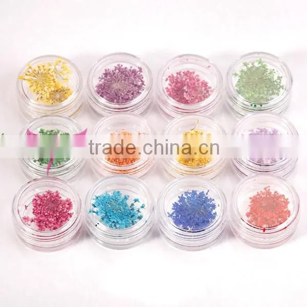 wholesale Nail Art Dry Dried Flowers Decoration With Mix Different Colors