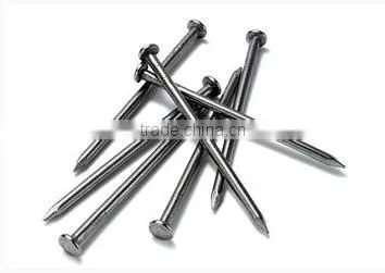 Wood common nail polished common nail