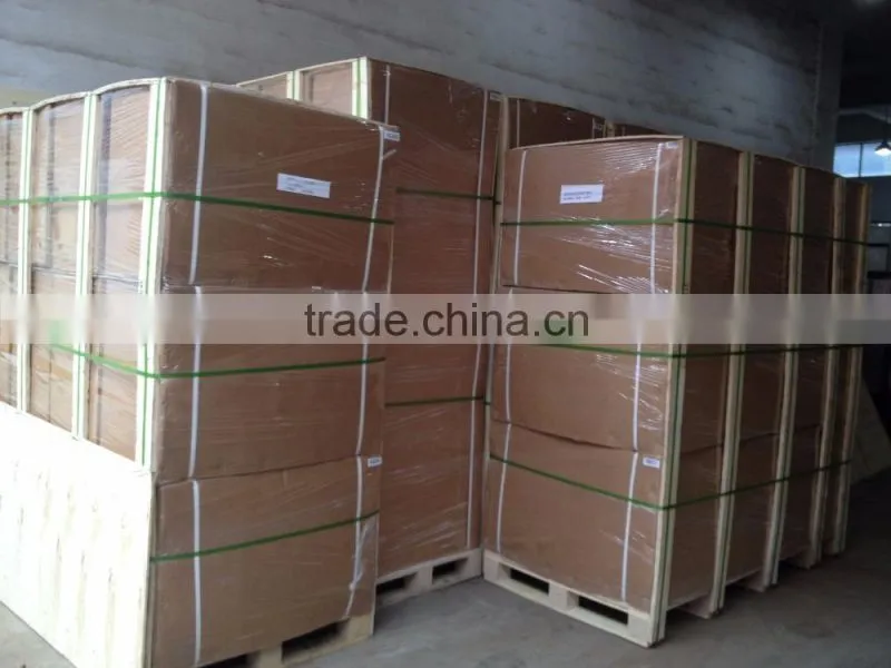 Raptor FM180A Hydraulic Safelift Furniture Mover