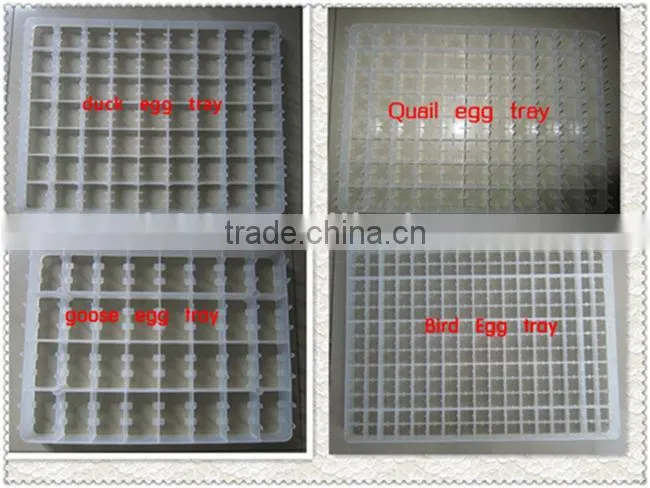 New Design Plastic chicken Egg Tray Colorful Egg Trays for sale