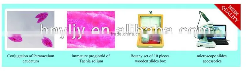 Microscope Glass Slide and Coverslip