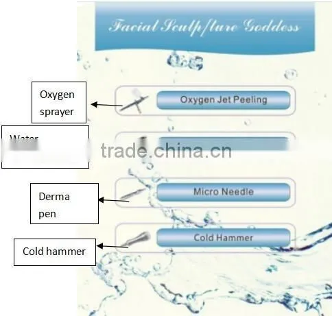 AYJ-X11B-C multifuction facial therapy spa equipment