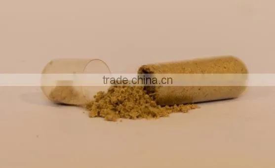 Organic Ginger Capsules - 600mg