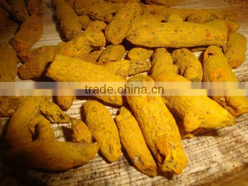 Fresh Turmeric / Dried Turmeric / Turmeric Finger