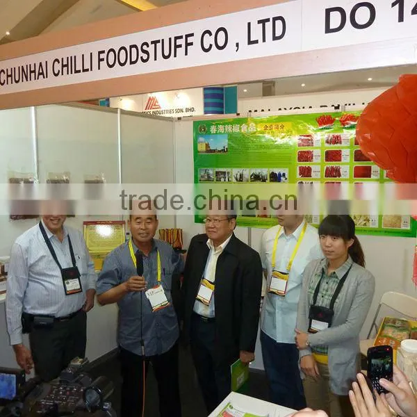 expoer 2013 new crop dried hot yellow approved good flavor of qualitied chinese Sanying pepper powder C spice