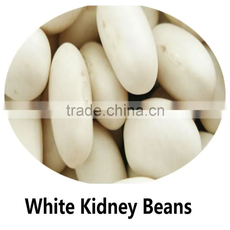 JSX cooking British red kidney bean round shape food grade red kidney bean