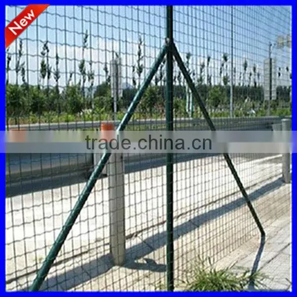 DM factory price Euro Fence at high quality