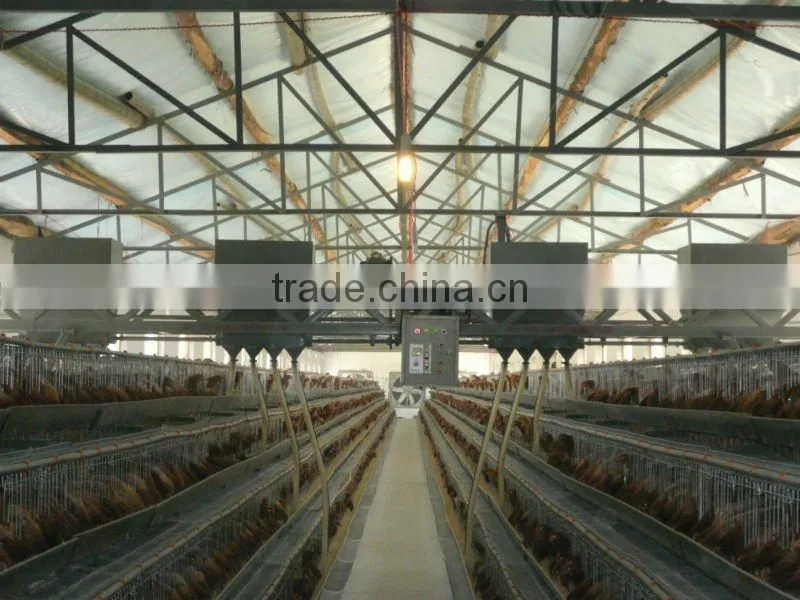 Feeder Machine
