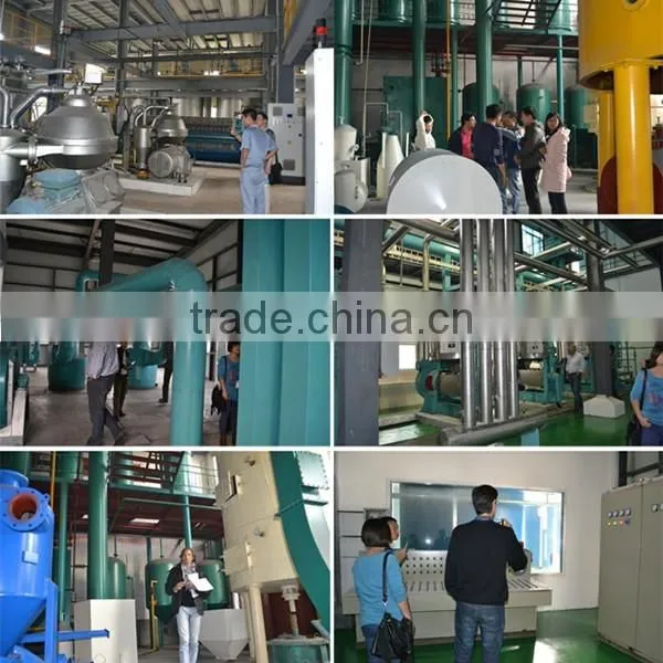 2016 Highest technology almond oil mill machinery
