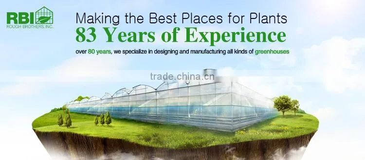 Commercial Greenhouse for sale Single span greenhouse