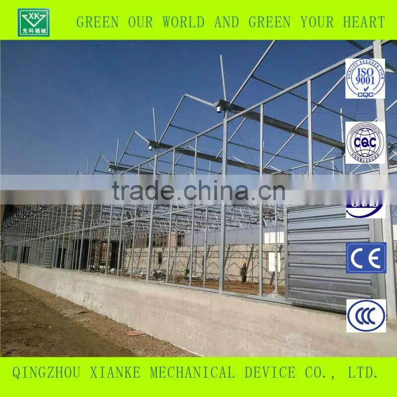 Multi-Span Commercial Agricultural Greenhouse sales