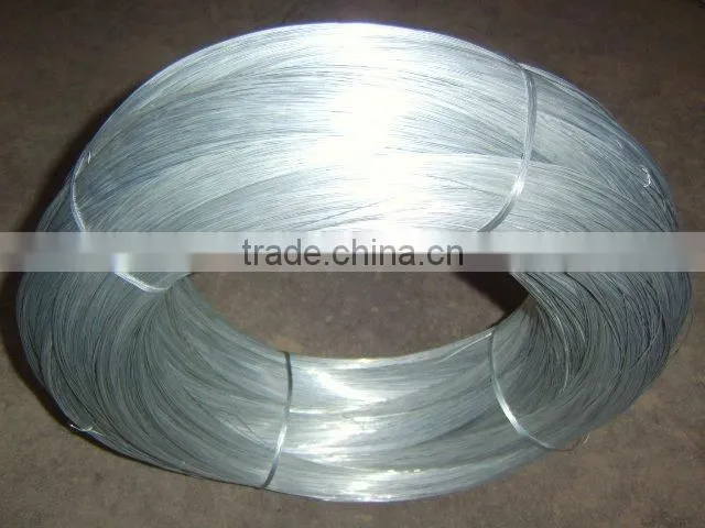 Electro galvanized wire (factory)
