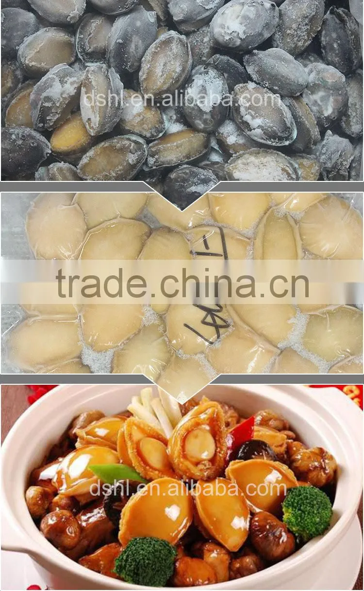 iqf frozen abalone factory