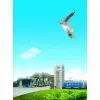Cangzhou Mingzhu Plastic Co., Ltd. company overview - view 1