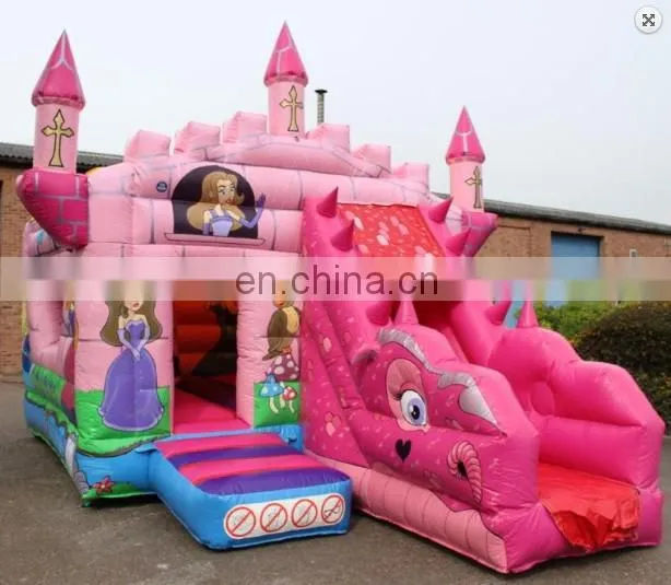 Themed Princess Inflatable Combo/Pink Combo