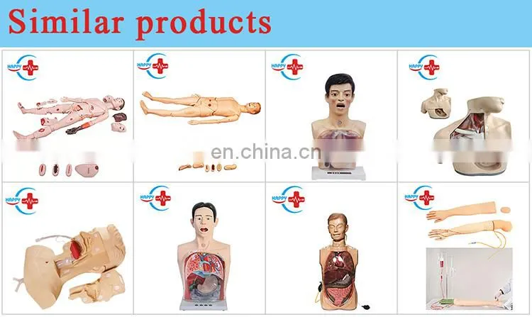 HC-S203 Small Size 42cm Medical Human Skeleton Teaching Model/Plastics Anatomical Models Skeleton