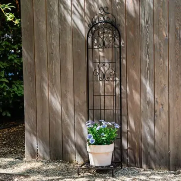 image (94).png