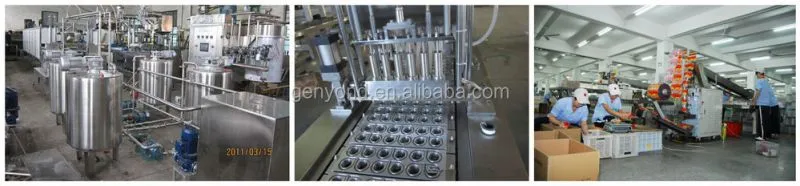 Assorted Fruit Pudding Jelly/jelly Candy Production Line