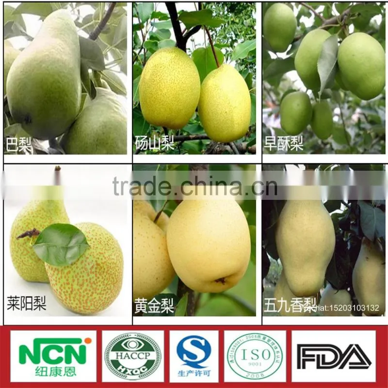 2016 Fresh Grown pear