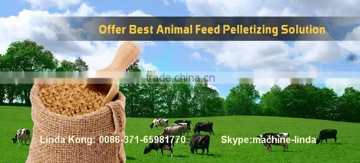 animal feed processing machine