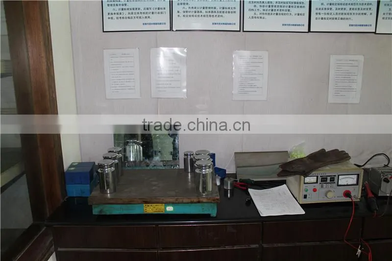 crane digital what is spring scale