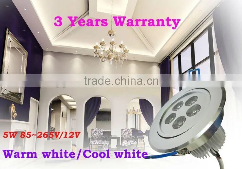 Edison LED Downlight 12V with Power Supply