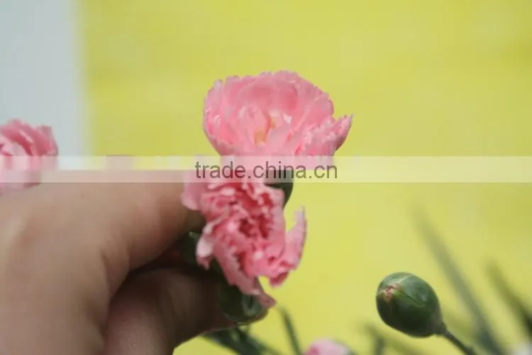 Reasonable price top sell carnation of fresh flower for decoration