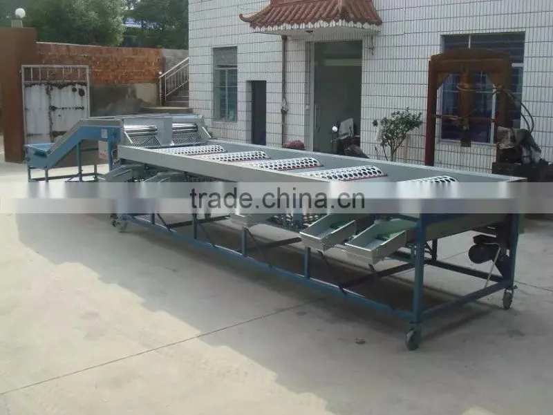 Weight Sorting grading machine line