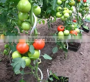 Factory supply plant growning support