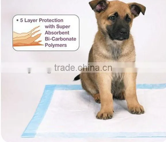 pet trainning pad