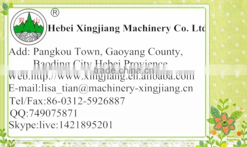 Diesel Engine ZS195/1100/1105/1110/1115/1125/1130