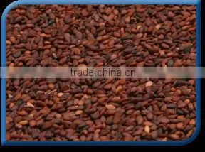 Brown Sesame Seeds