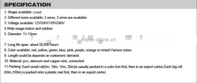 Outdoor color changing led rope light
