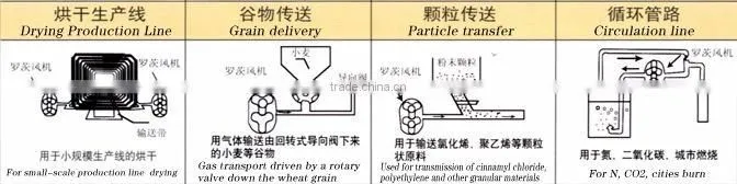 Root Lobe Blower