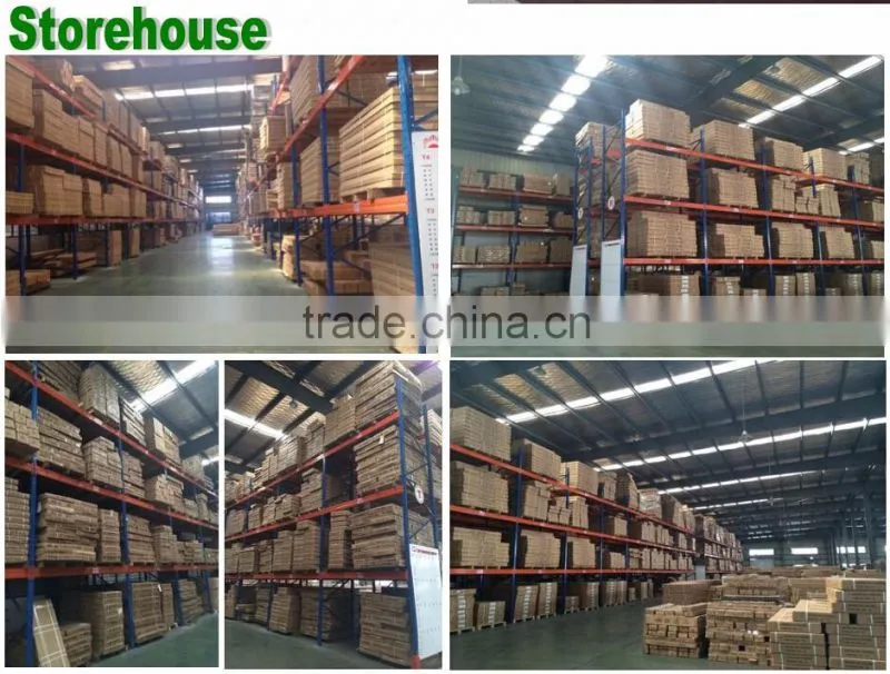 8'Ft Width Premium Quality Greenhouse